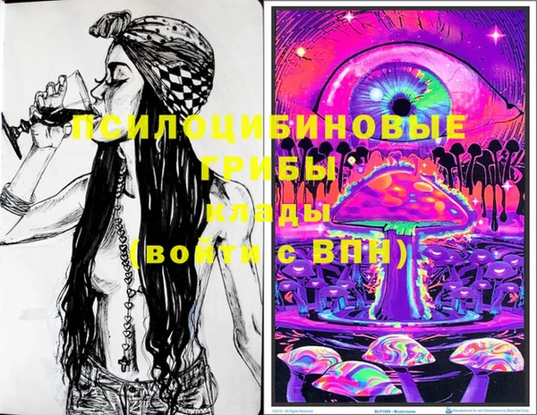 PSILOCYBIN Баксан