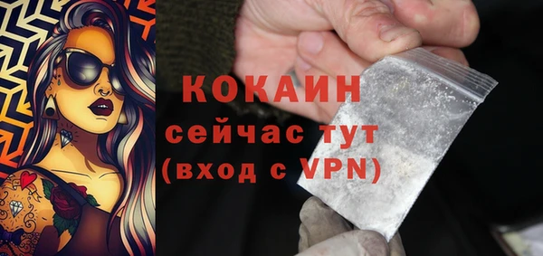 дживик Балахна