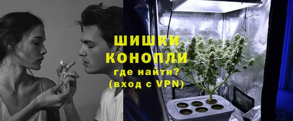 дживик Балахна