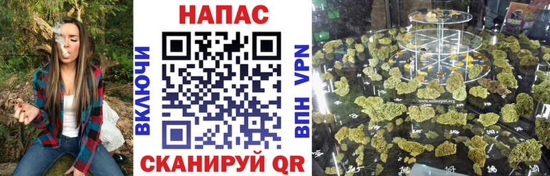 Бошки Шишки семена  площадка состав  Люберцы 